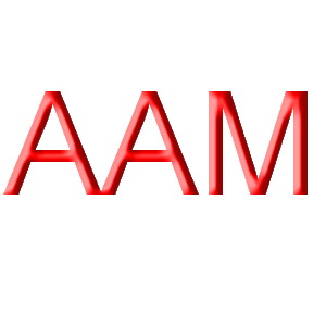 AAM - 250MM (2012+ CAMARO)